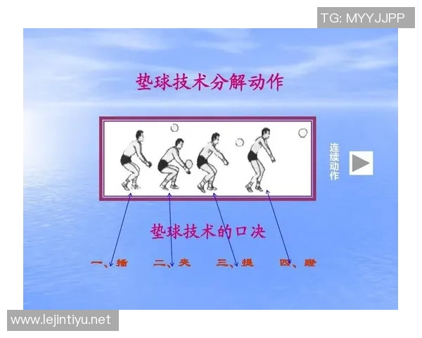 体育实时数据排球新手必看全方位实力提升攻略与入门技巧分享