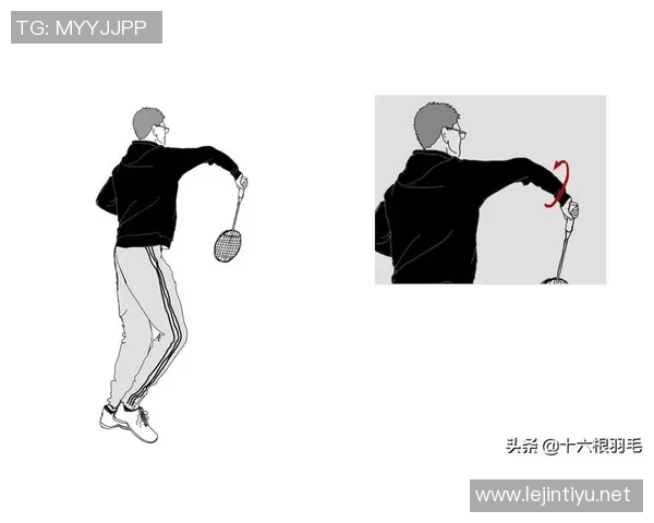 体育实时数据科学提升羽毛球个人能力的有效训练方法与技巧分享